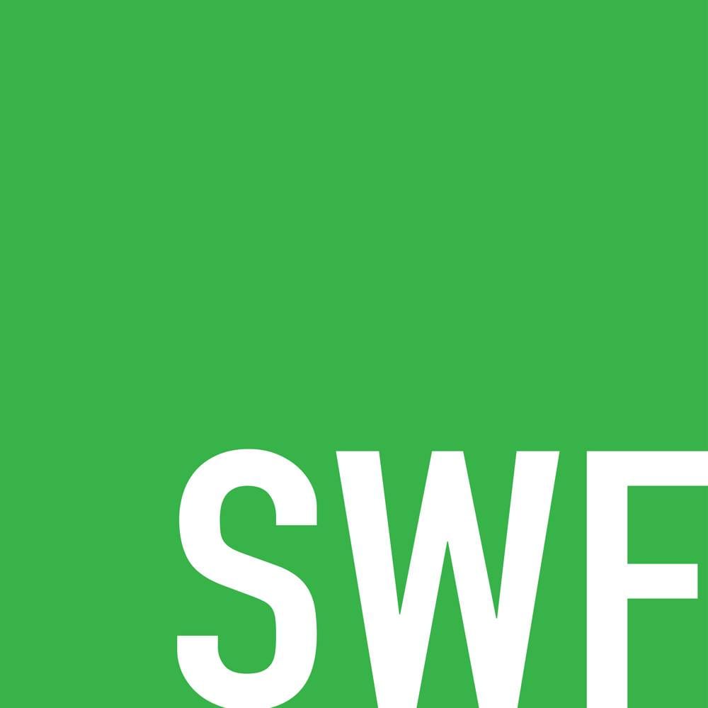 SWF Egypt